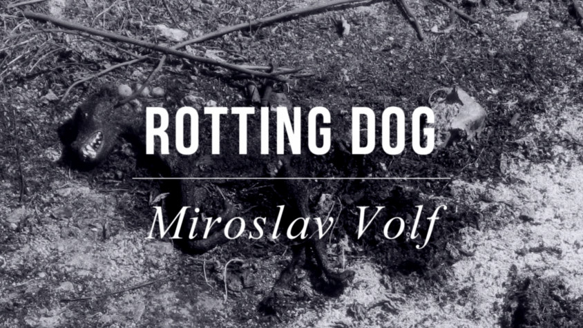 The Work of The People | Film | Rotting Dog