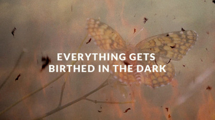 Don't Be Afraid of the Dark