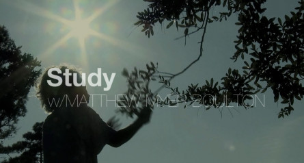 Study